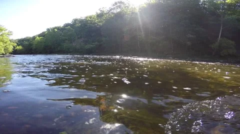 Flowing stream in morning sun Stock Footage 53106772