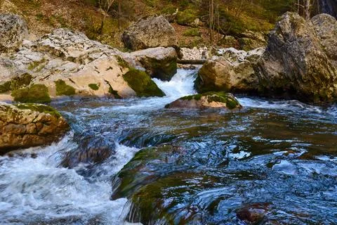 Flowing Stream with Moss Covered Rocks in a Forested Area Stock Photos