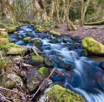 Flowing stream with mossy rocks Foto stock