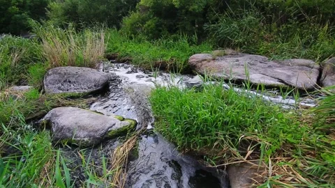 Flowing stream in a mountain valley a raging river among stones. Stock Footage 169938557