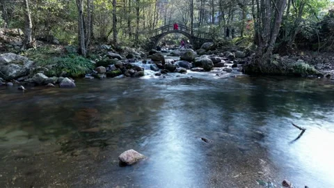 Flowing Stream in Nature Timelapse Stock Footage 326701699