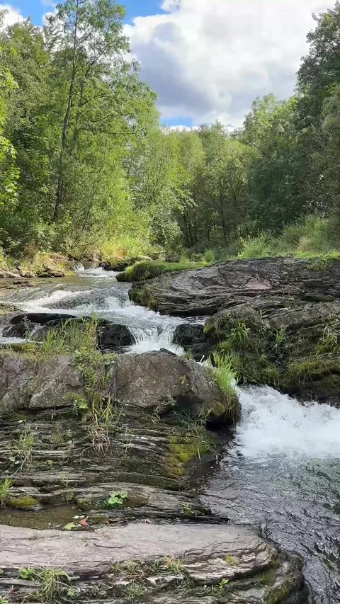 Flowing stream over rocks in a forest. Stock Footage 345089431