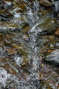 Flowing Stream Over Rocks Foto stock