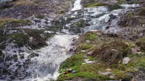 Flowing stream over the rocks in spring. Stock Footage 307627311
