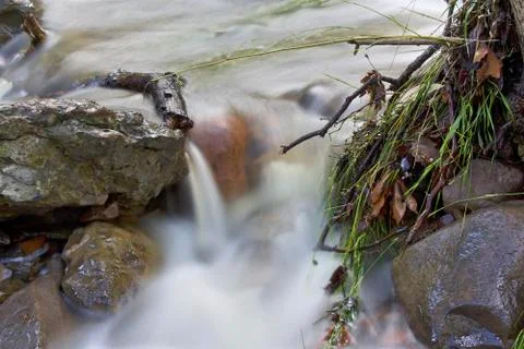 Flowing Stream Stock Photos