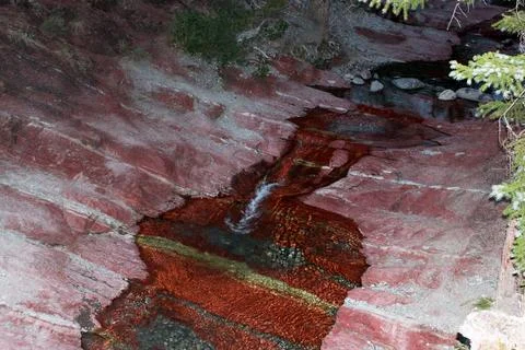 Flowing stream with red rock formations and clear water in Waterton Nationa.. Stock Photos
