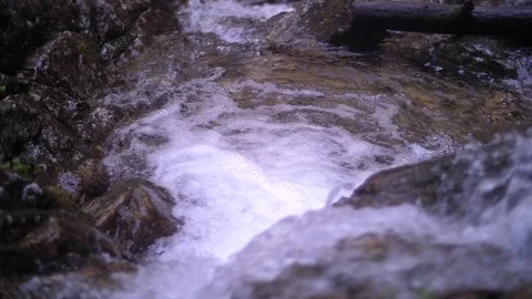 Flowing Stream, Rocks 01 Stock Footage 81190351