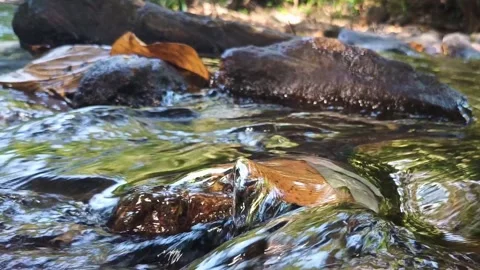 Flowing Stream Rocks Close-Up Stock Footage 313149836