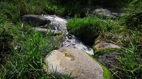 Flowing stream of seething water in brilliant stream of mountain river. Stock Footage 169938551
