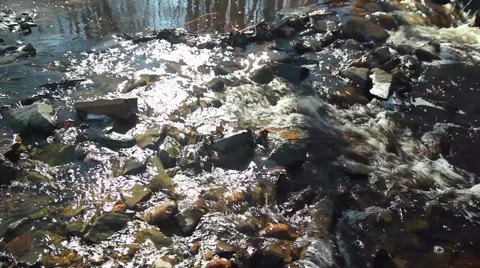 Flowing stream, slider move Stock Footage 48707282