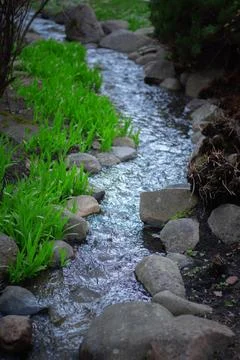 Flowing stream with smooth rocks and lush green grass in garden setting Stock Photos