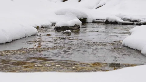 Flowing Stream With Snow Stock Footage 102867970