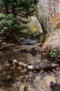 A flowing stream surrounded by fall colors up in Millcreek Canyon, Utah. Stock Photos