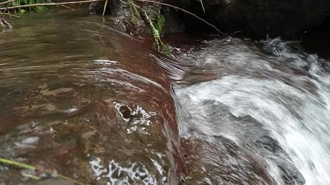Flowing Stream Water Close-Up Over Wet Rocks Natural Scene Stock Footage 330530075