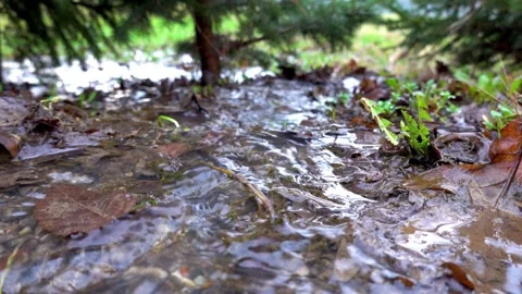 A flowing stream of water heading to the lake through a small forest Stock Footage 267444151