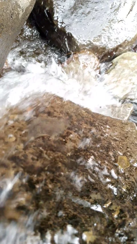 Flowing Stream Water Over Rocks in Forest 4K Stock-Footage 342000408