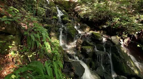 Flowing Stream Water Timelapse Vídeos de archivo 10769547
