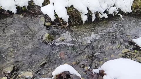 Flowing stream in winter Stock Footage 262438815