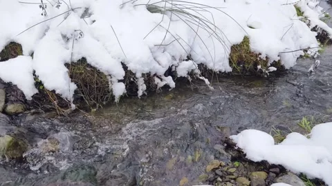 Flowing stream in winter Stock Footage 262442499