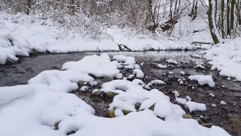 Flowing stream in winter Stock Footage 262442818