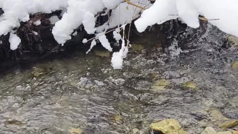 Flowing stream in winter Stock Footage 263415726