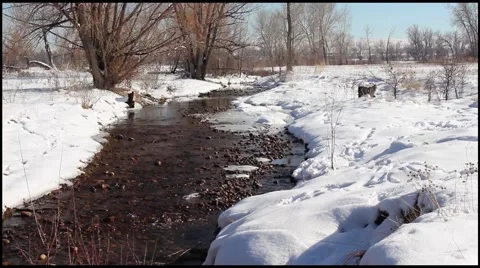 Flowing Stream in Winter Outside Boulder, Colorado Video stock 65600356