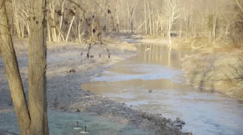 Flowing stream in the woods 스톡 동영상 22219490