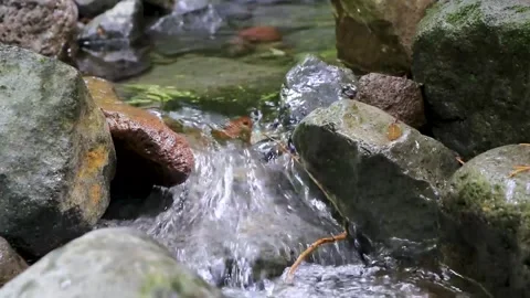 Flowing tropical river stream in jungle forest in Costa Rica. Stock Footage 287489469