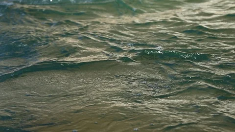 Flowing Truckee River in Down Town Reno at the White Water Park Stock Footage 101865871