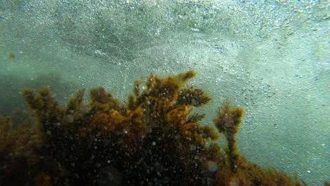 Flowing Underwater Stock Footage 202069695