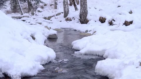 Flowing Unfrozen River in a Northeastern Winter Ice and Snow Landscape Stock Footage 341870045