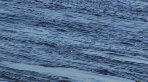 Flowing water 1 Stock Footage 7752060