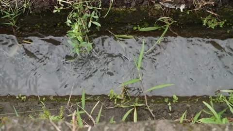 Flowing water 14 Stock Footage 264574099