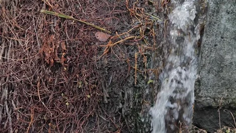 Flowing water 15 Stock Footage 264574098