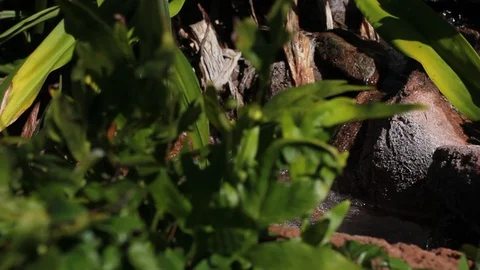 Flowing Water (2) Stock Footage 104706330