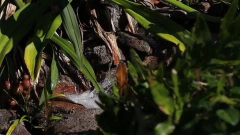 Flowing Water (4) Stock Footage 104705663