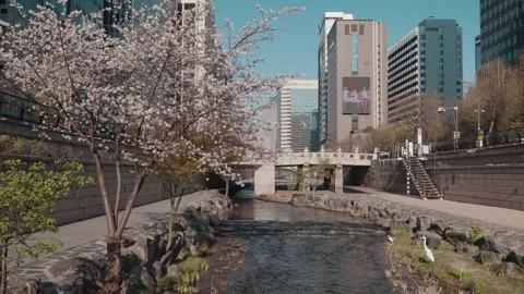 Flowing Water and Small Waterfall at Cheonggyecheon Stream Seoul Stock Footage 333872753