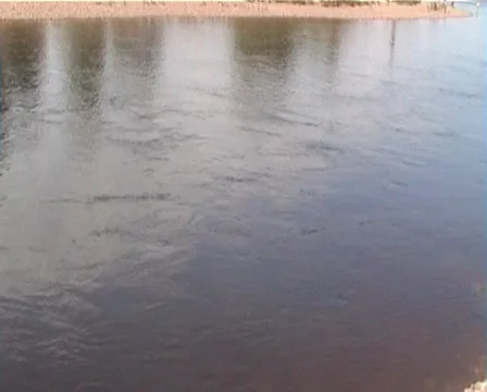 Flowing water and splashes 库存影片 921383