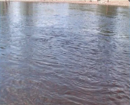 Flowing water and splashes Видео 921396