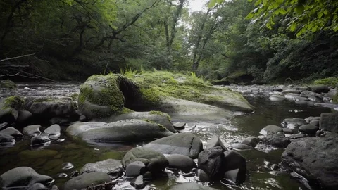 Flowing Water Around A Big Mossy Rock Stock Footage