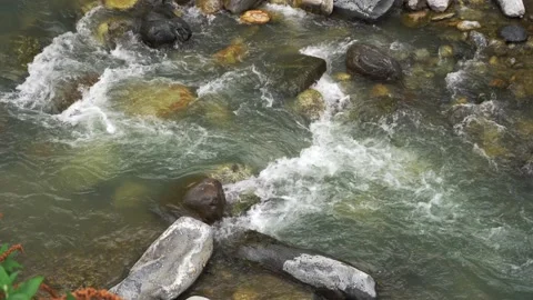 Flowing water in a beautiful river - everything is in motion Stock Footage 214160865