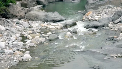 Flowing water in a beautiful river - everything is in motion Stock Footage 218562188