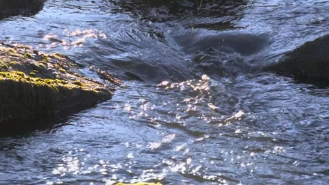 Flowing water between rocks Stock Footage 338305289