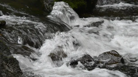 Flowing water in a brook Stock Footage 30594304