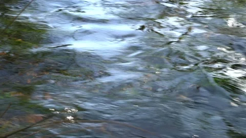 Flowing water calm Stock Footage 261064389