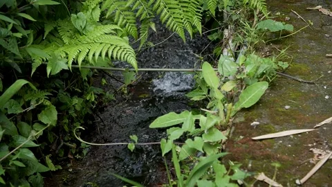 Flowing water channel Video stock 279215737