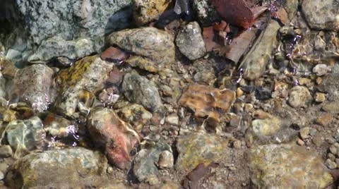 Flowing Water Close Up 스톡 동영상 21910341