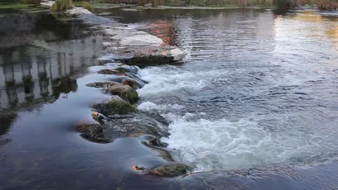 Flowing water of the Eo river over a small stone weir in A Pontenova Spain Stock-Footage 346319190