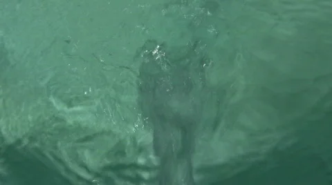 Flowing water Stock Footage 483253