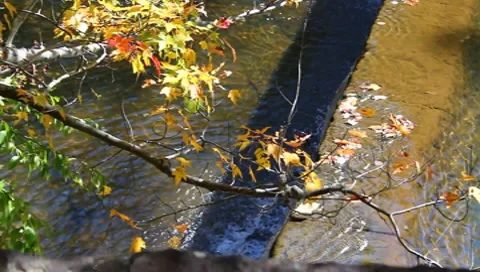 Flowing water Stock Footage 8830967